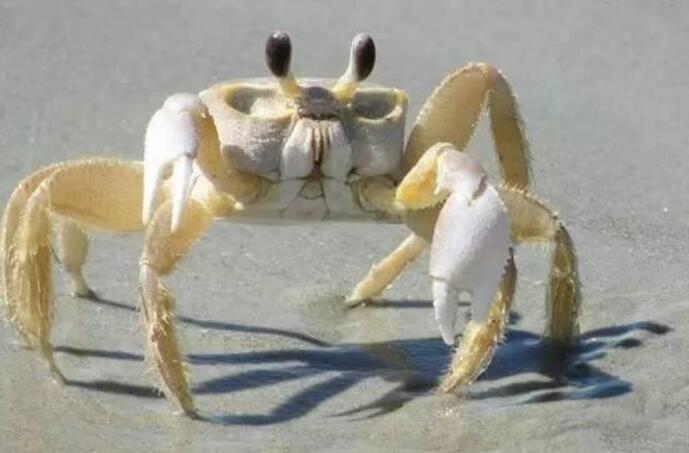 гзܳԆгзĈDƬ