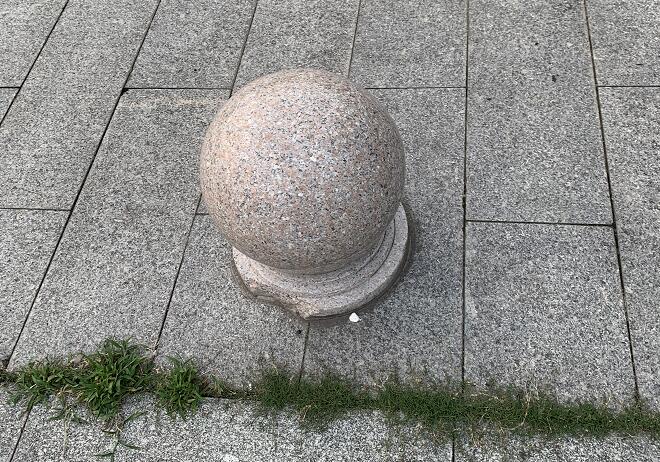 (jng)Zʲô̎?˿ԳZ