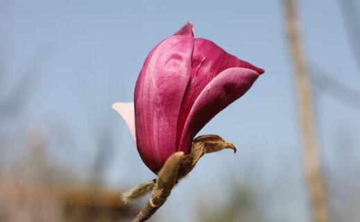 ӢQȾҕܓp,ӢȺwָʲô