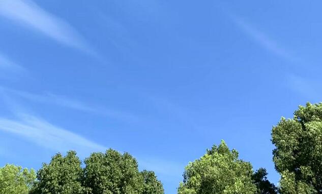 һ˿eQը,wCl(f)¹ôk
