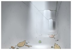 Swl(wi),ʲô˼